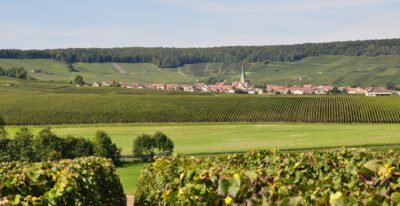 vignoble chamerycpnrmr mcm - Tourisme dans la Marne en Champagne