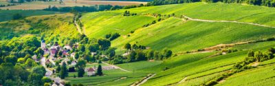 Photo d'un paysage de champagne
