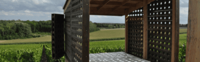 Photo d'une cabane au milieu des vignes