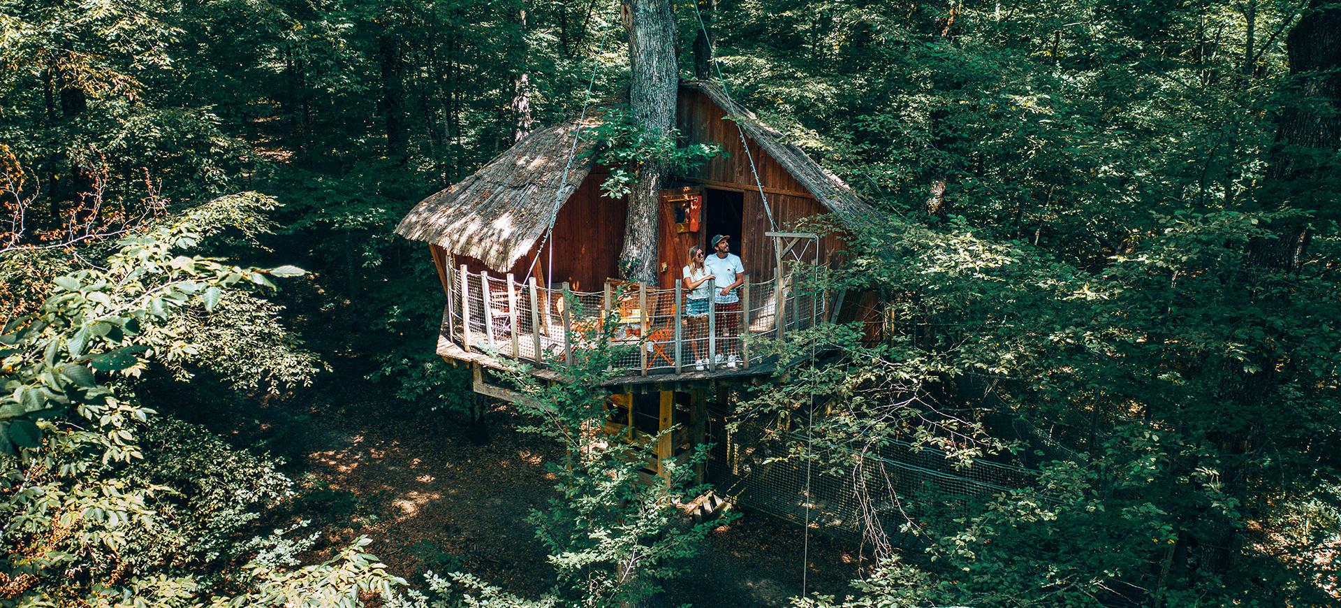 Photo d'une cabane dans la fôret