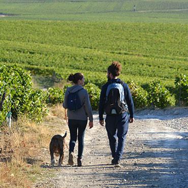002 randonnee c christophe manquillet120918 - Tourisme dans la Marne en Champagne