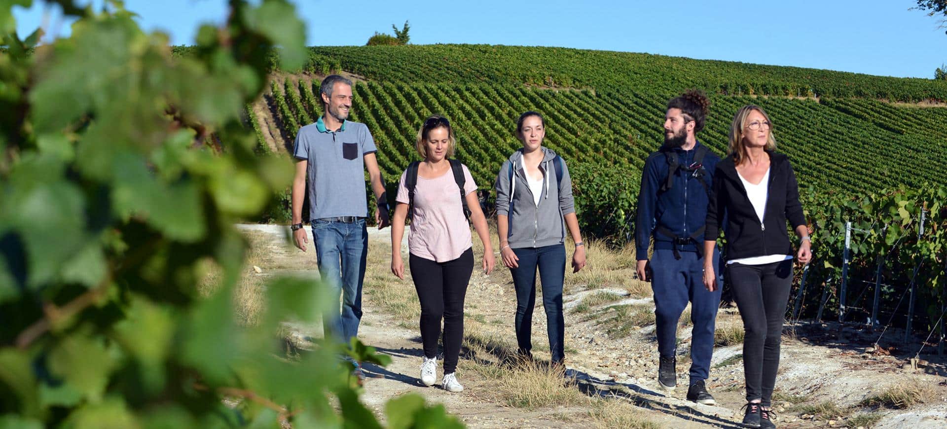 Cinq personnes marchant dans les vignes
