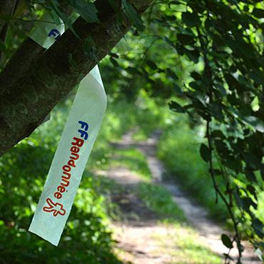 035 randonnee cormicy c christophe manquillet 100618 - Tourisme dans la Marne en Champagne