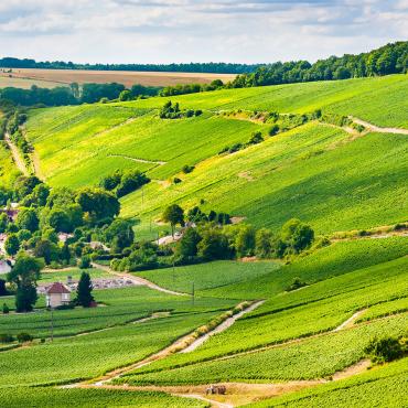 1 panorama vignoble champagnecambon 1 - Tourisme dans la Marne en Champagne
