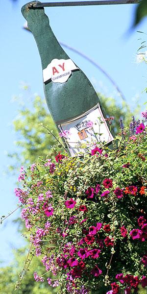 ay champagnecp stritt coll adt marne - Tourisme dans la Marne en Champagne