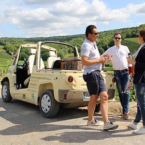 ay eco visite ay c evidal coll adt marne 1725 - Tourisme dans la Marne en Champagne