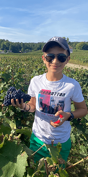 brisson6 - Tourisme dans la Marne en Champagne