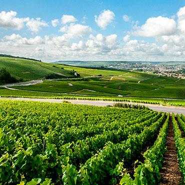 Wijngaarden & Ontdekkingen epernaycwwwmkb photos coll adt marne 0 - Tourisme dans la Marne en Champagne