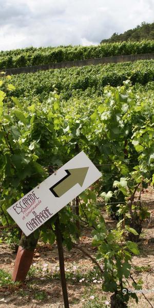 escapade - Tourisme dans la Marne en Champagne