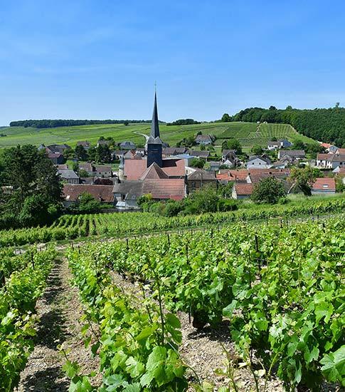 Ruta turística del champán etoges 1 - Tourisme dans la Marne en Champagne