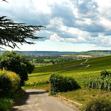hautvillers 1 - Tourisme dans la Marne en Champagne