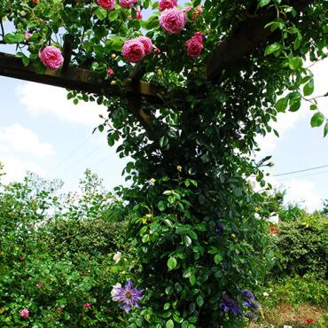 jardin de la preslech guillaume collcdt marne 4 - Tourisme dans la Marne en Champagne