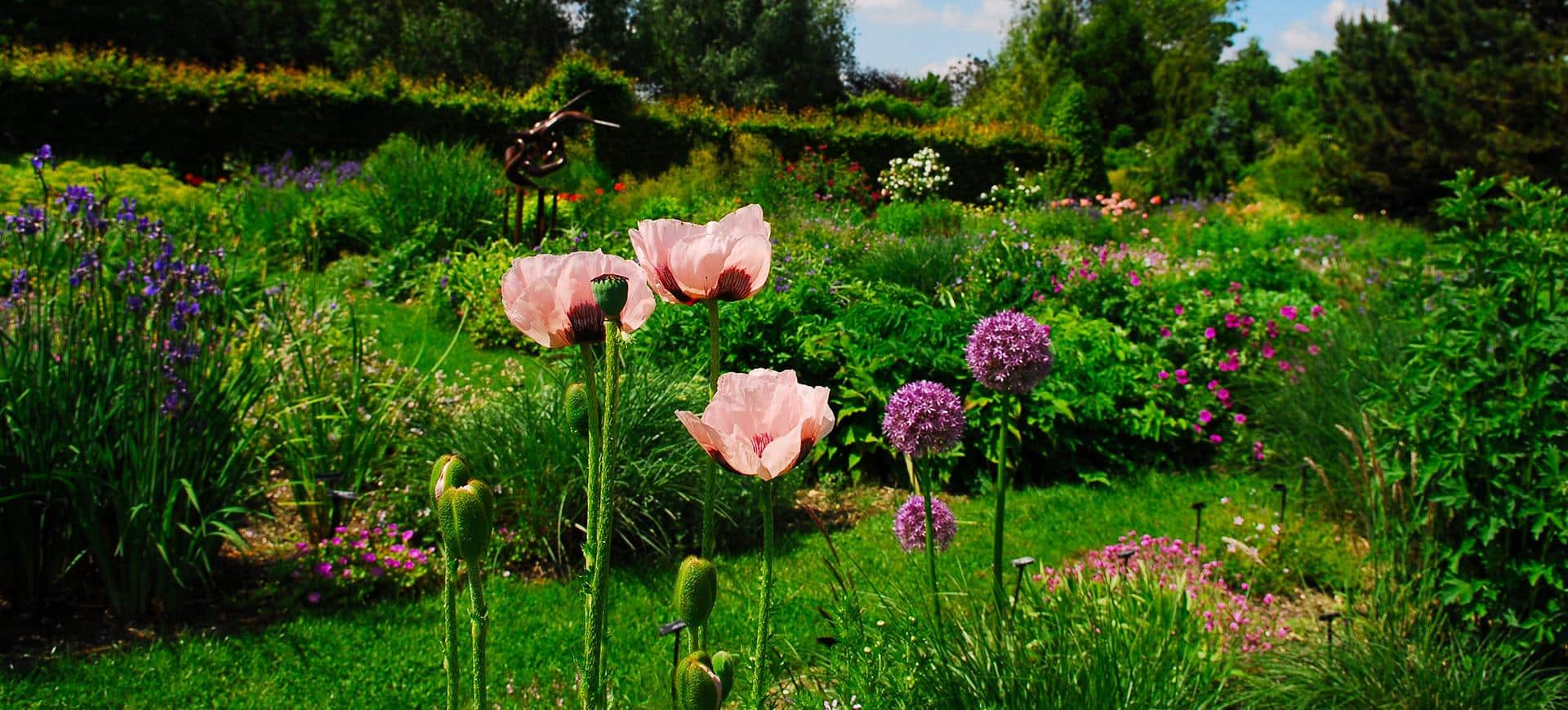 Foto von Blumen in einem Park