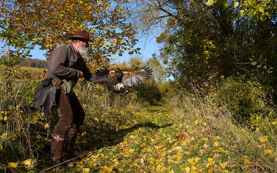 libre maquis promenade avec rapaces belval sous chatillonclibre maquis promenade avec rapaces8 - Tourisme dans la Marne en Champagne