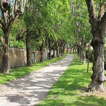 mail des religieuses 2cville de sezanne - Tourisme dans la Marne en Champagne