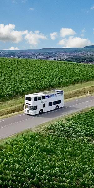 ¡Champán de otra manera! marie - Tourisme dans la Marne en Champagne