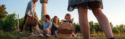 phare 1 - Tourisme dans la Marne en Champagne