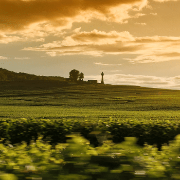 phare verzenaycegoulet colladt marne1 - Tourisme dans la Marne en Champagne
