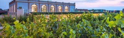 pressoria ay champagne musee 5 sens boegly grazia - Tourisme dans la Marne en Champagne