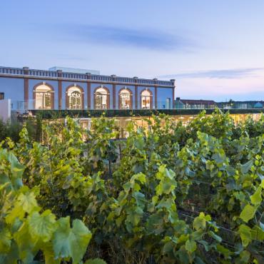 pressoria ay champagne musee 5 sens boegly grazia - Tourisme dans la Marne en Champagne