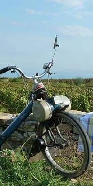 solex pique nique - Tourisme dans la Marne en Champagne