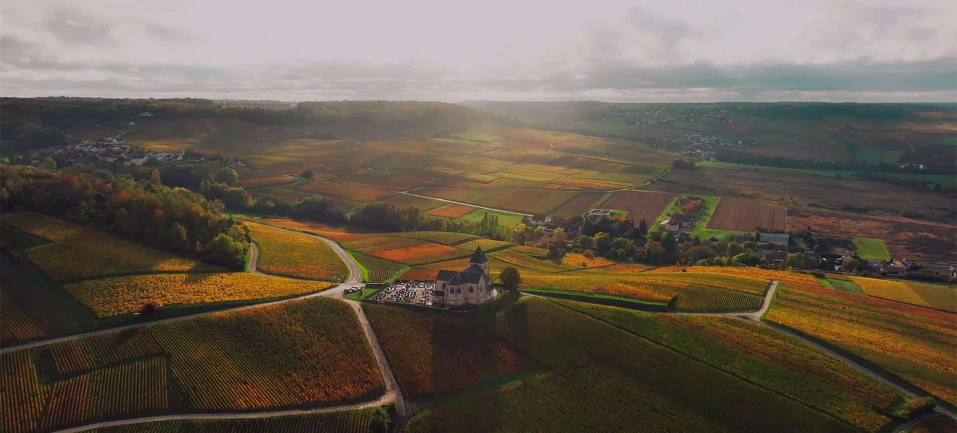 ves champagne - Tourisme dans la Marne en Champagne