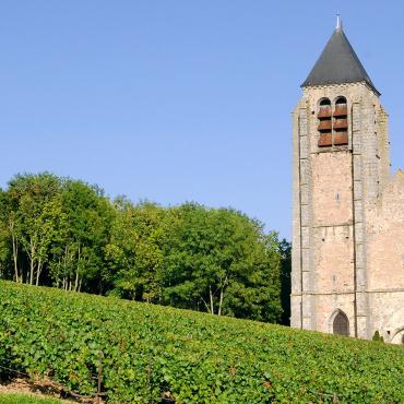 vignoble bethoncm jolyot colladt marne - Tourisme dans la Marne en Champagne