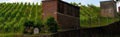 vignoble mareuil sur ay cles coflocs coll adt marne 5 - Tourisme dans la Marne en Champagne
