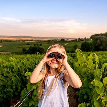vignoble reimscmichael boudot coll adt marne1 - Tourisme dans la Marne en Champagne