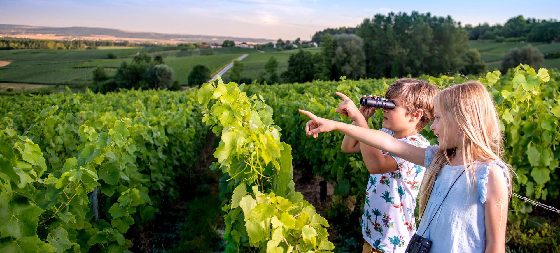 Deux enfants au milieu des vignes