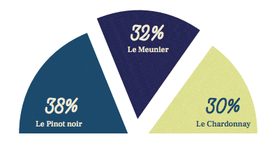 cepages - Tourisme dans la Marne en Champagne
