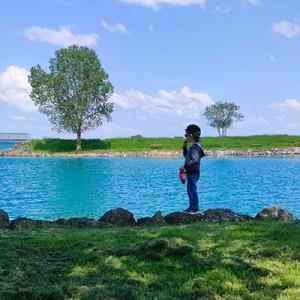 der - Tourisme dans la Marne en Champagne