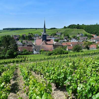 Ruta turística del champán etoges - Tourisme dans la Marne en Champagne