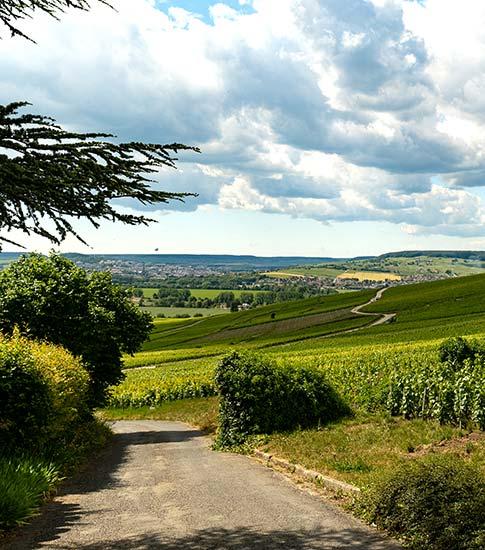 hautvillers - Tourisme dans la Marne en Champagne