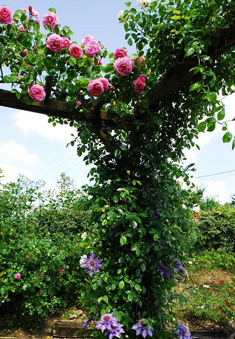 jardin de la preslech guillaume collcdt marne 4 - Tourisme dans la Marne en Champagne