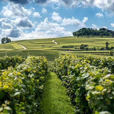 jouylesreims 1 - Tourisme dans la Marne en Champagne