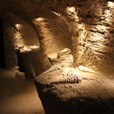 la cave aux coquillages fleury la rivierecr kiezer coll adt marne42 - Tourisme dans la Marne en Champagne