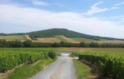 le mont aime - Tourisme dans la Marne en Champagne