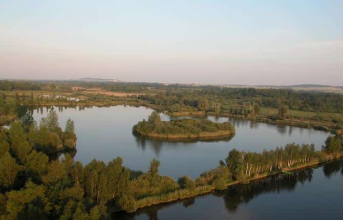 Marais de Saint-Gond