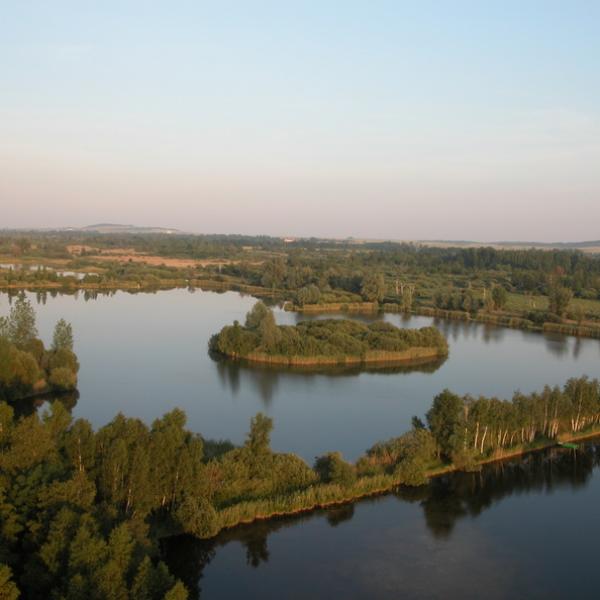 marais de saint gondcadt marne8 - Tourisme dans la Marne en Champagne