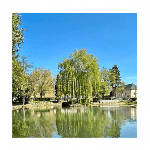 moulinani - Tourisme dans la Marne en Champagne
