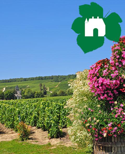 ogercfotoliacom 1 - Tourisme dans la Marne en Champagne