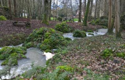 parc sourdon - Tourisme dans la Marne en Champagne