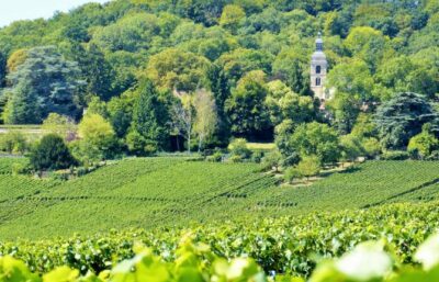 pnrmr abbaye15 hautvillers 2015 - Tourisme dans la Marne en Champagne