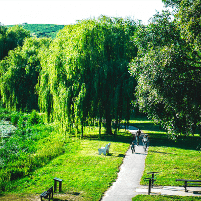 reuil fond - Tourisme dans la Marne en Champagne