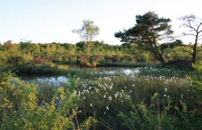 rnn mesnil 5 427x640 jbr 1 - Tourisme dans la Marne en Champagne