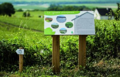 sentier de decouverte des loges de vignes 3 - Tourisme dans la Marne en Champagne
