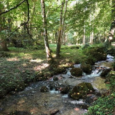 sourdon 0 - Tourisme dans la Marne en Champagne