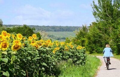 v52 c recitsdescapades colladt marne recupere - Tourisme dans la Marne en Champagne