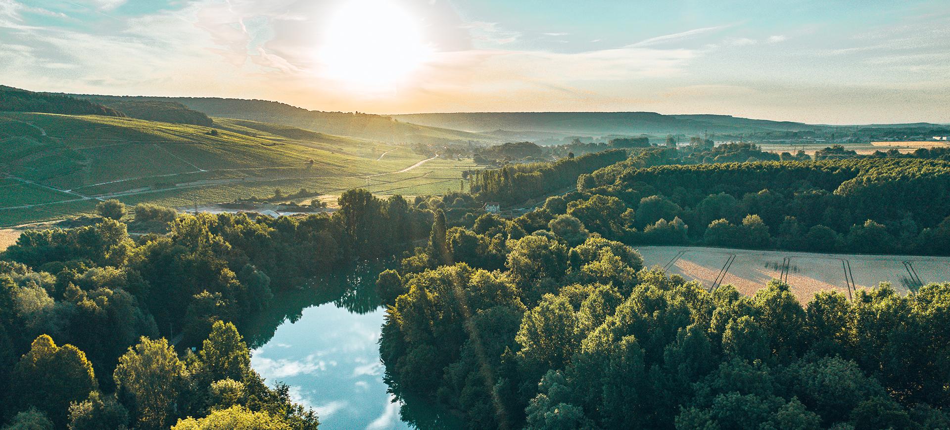 Vallée de la Marne